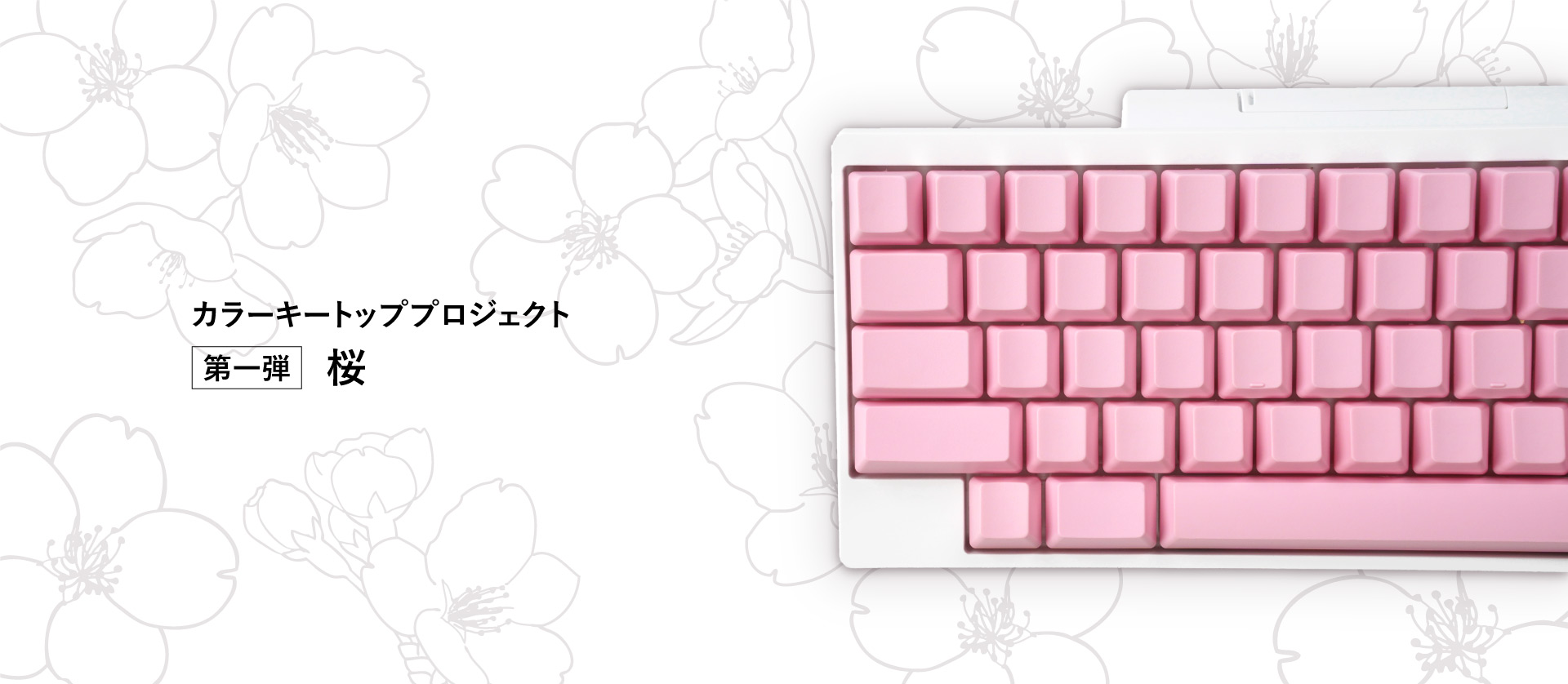 日本の魅力を世界へ伝える「HHKBカラーキートッププロジェクト」を発表 第一弾 「桜」のキートップセットを販売
