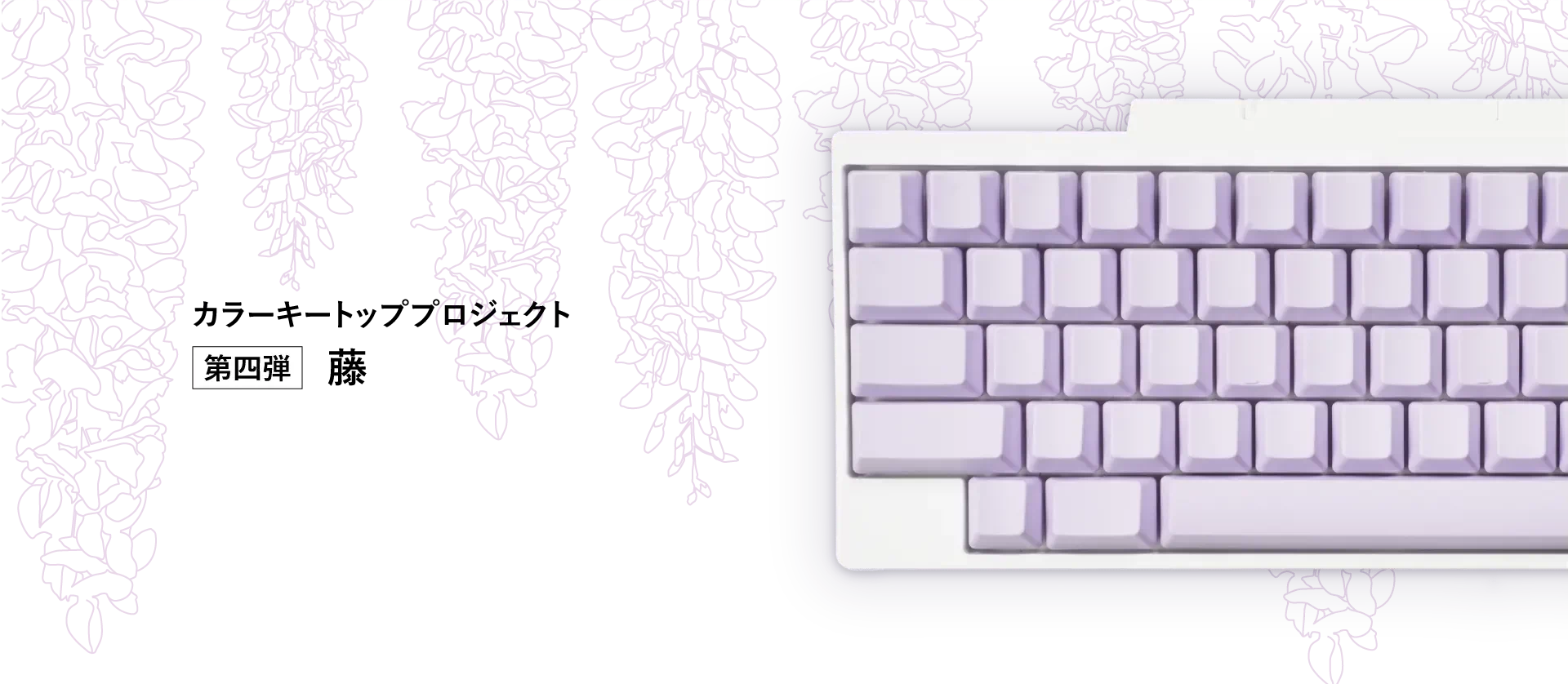 カラーキートッププロジェクト第四弾 藤