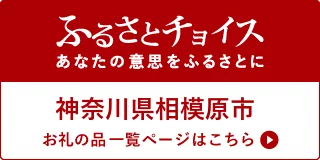 ふるさとチョイス あなたの意志をふるさとに