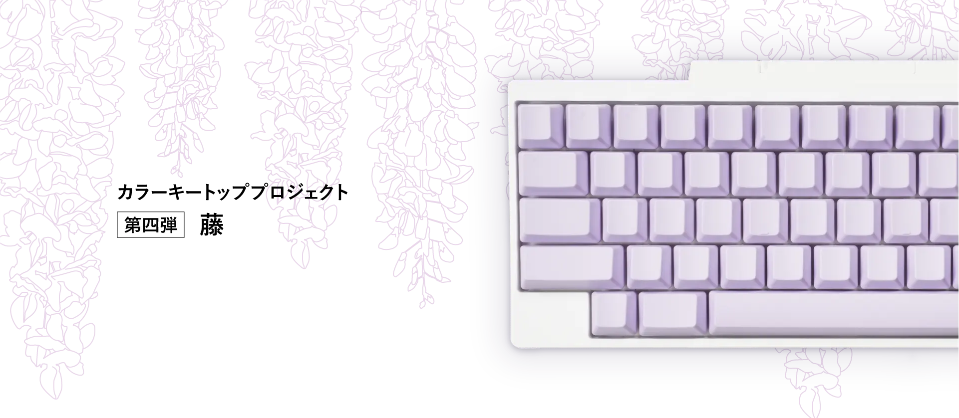 カラーキートッププロジェクト 第四弾 藤