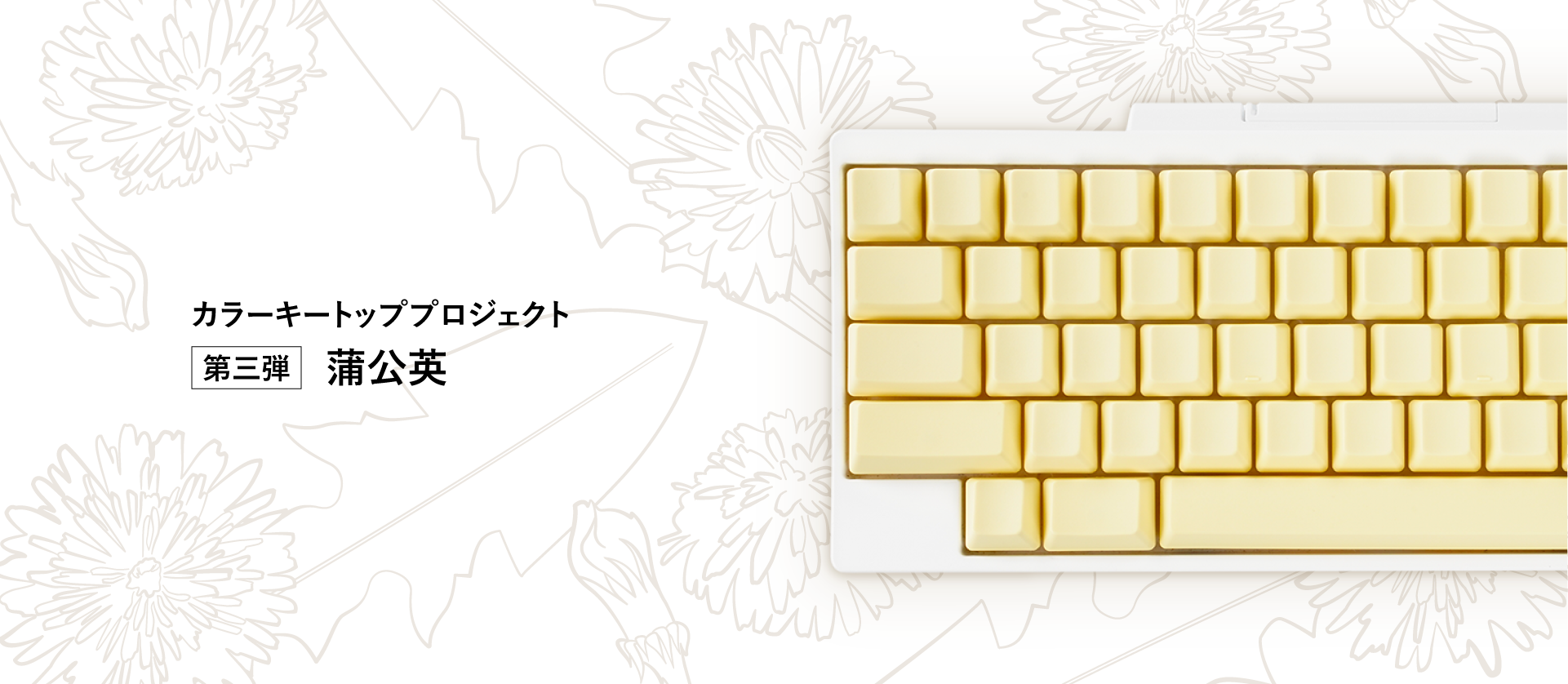 カラーキートッププロジェクト第三弾 蒲公英